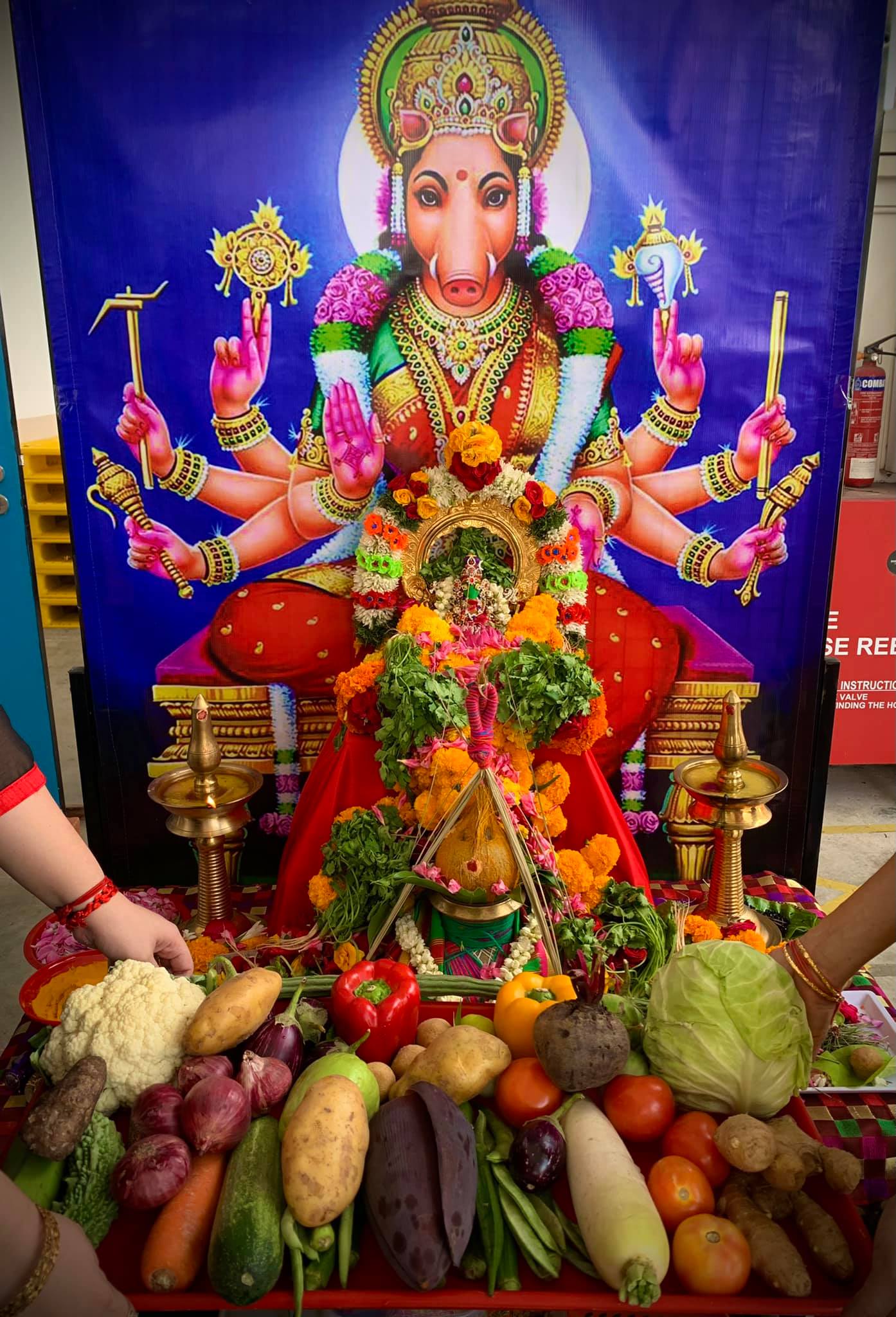 Varahi Homa – Panchabootha Varahi Havan